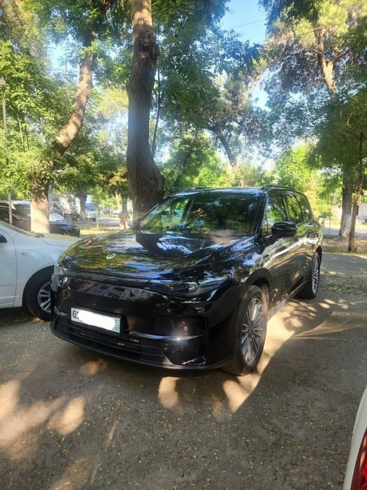 Leapmotor C16 Hybrid 6 sidena