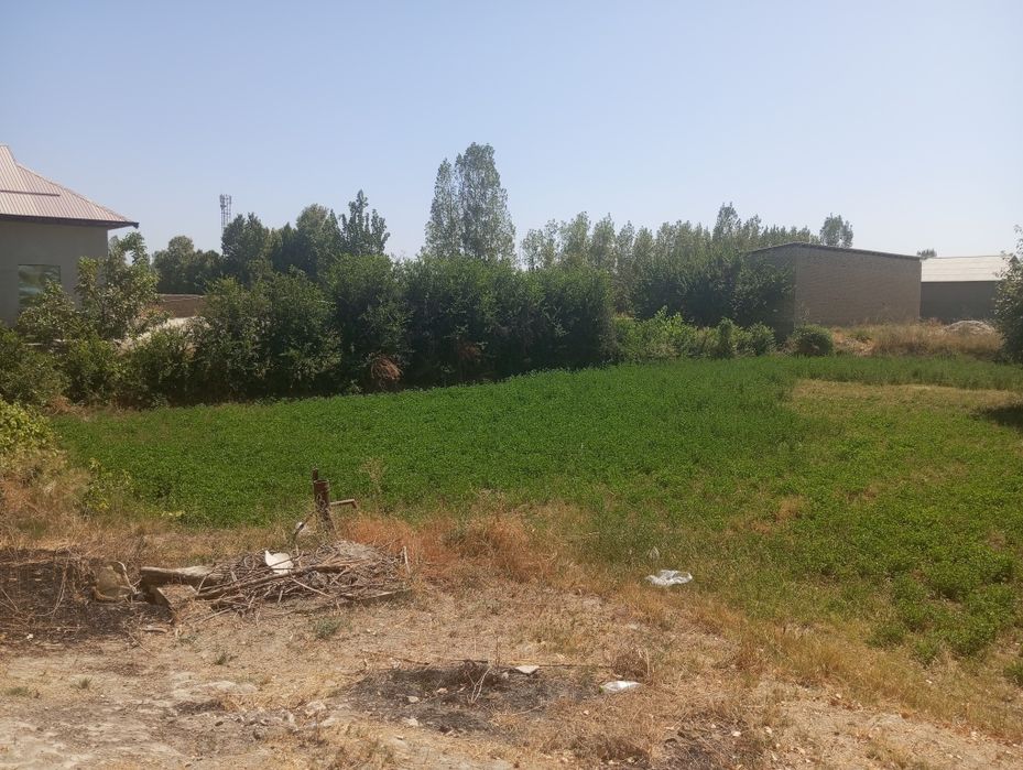 12 сотих Ховли сотилади..