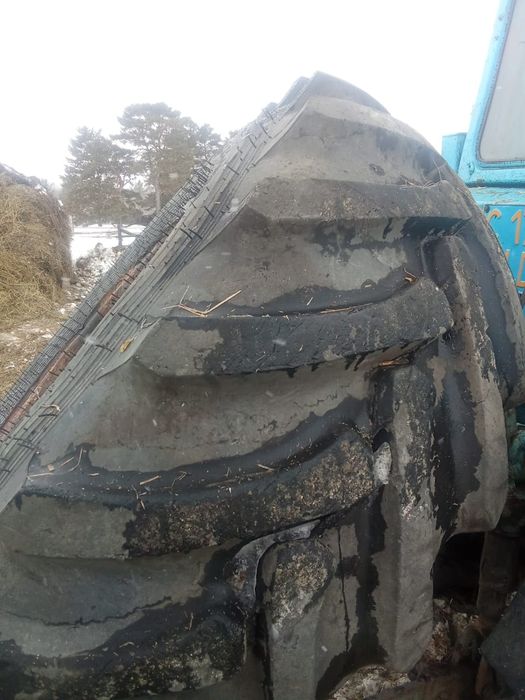 Шина продам 21.3R24