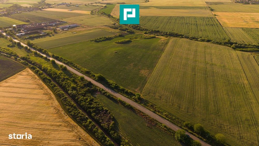 Teren Extravilan De 42.200 Mp Secusigiu