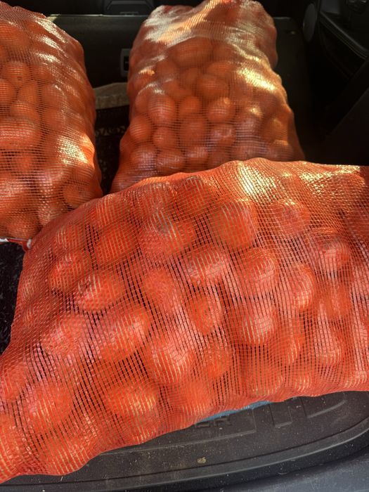 Продам  картофель дачный ,  Гала ,