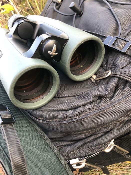 Binoclu Swarovski EL 8.5x42