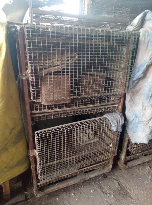 Клетка для кролов