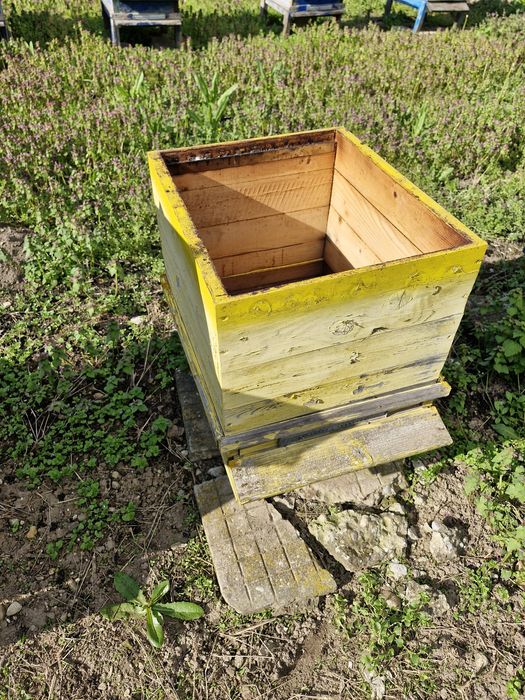 Празни   кошери дадан блад