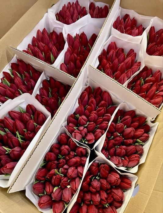 Тюльпаны в розницу предзаказ доставка цветы