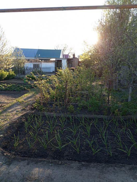 Срочно продам пол дома в центре города!