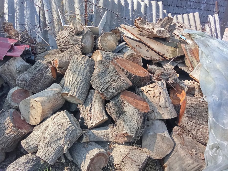 Ағаш сатылады баняга