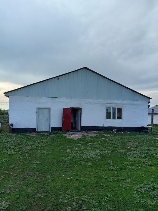 Дом, гараж, қора,