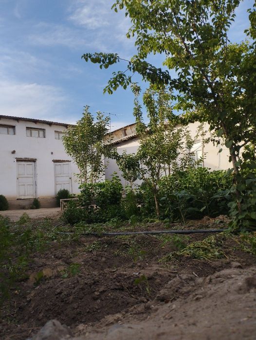 Хожели мясокомбинатта улкен уй сатылады 350 млн