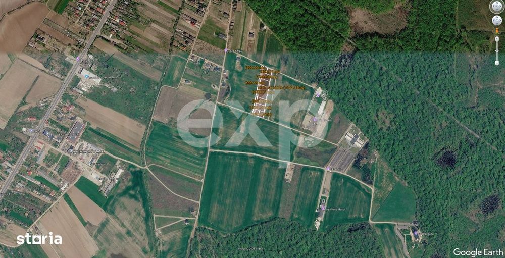 Terenuri de vanzare in Ciolpani, langa Padurea Snagov 24 euro /mp.