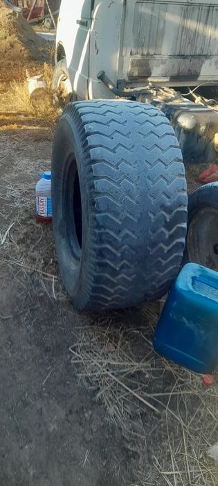 Птс 6 болоны продам