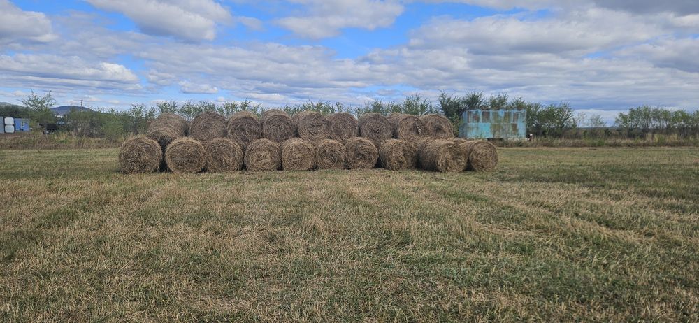 Продам сено в рулонах