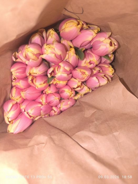 Тюльпаны оптом по 400