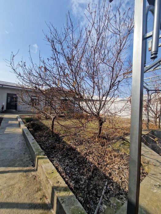 Жойдамда ховли уй оилага ижарага берилади!