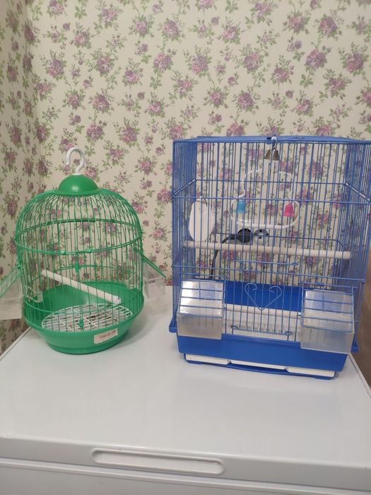 Продам две клетки для попугаев