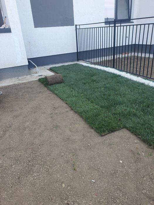 Gazon rulou sport calitate