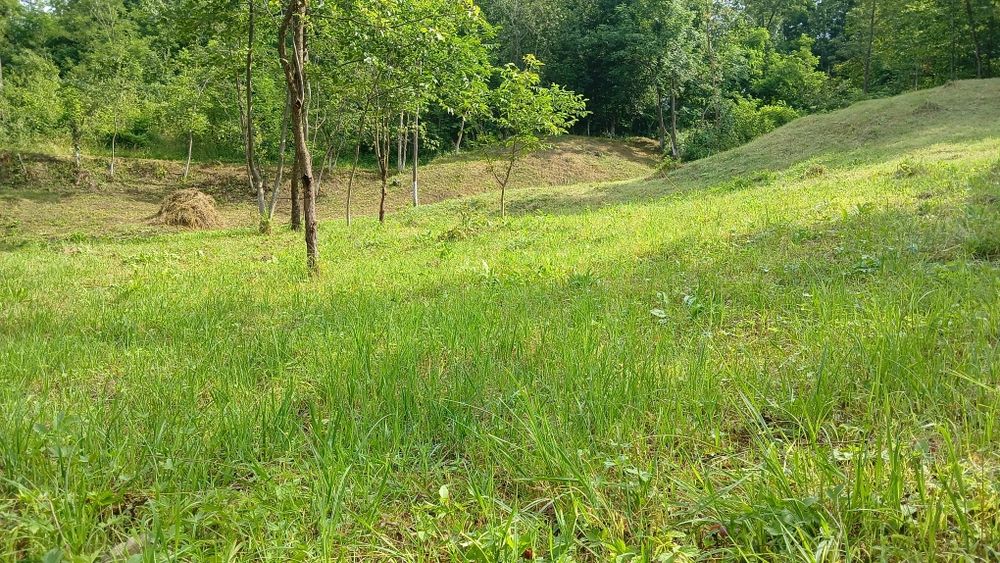 Teren de vânzare în Comuna Șotrile județul Prahova - Vedere 5