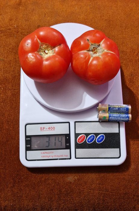 Ел. помпа за вода и домакинска везна