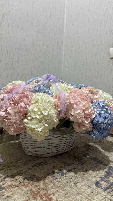 Свежие цветы Гортензия
