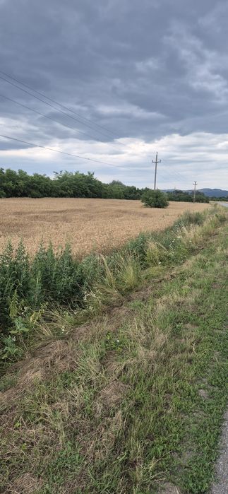 Extravilan 1700 mp 22000 euro negociabil