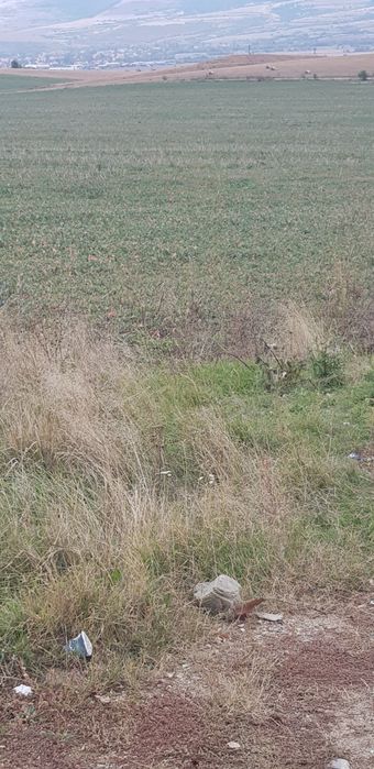 Продава имот в гр.Сапарева баня