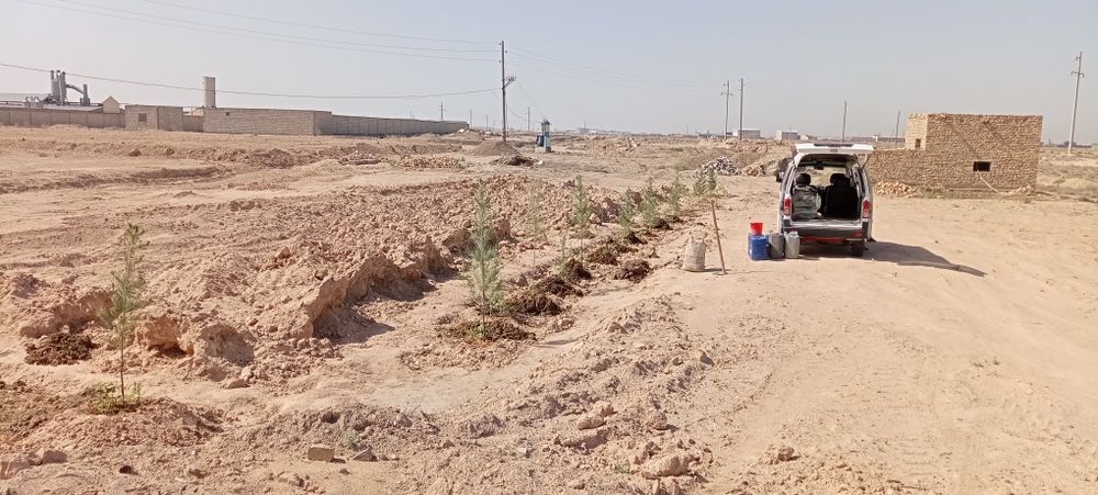 10 sotix no turar yer joy biznes uchun