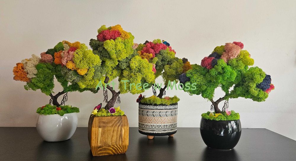 Дърво Бонзай със Скандинавски мъх в керамична и дървена кашпа