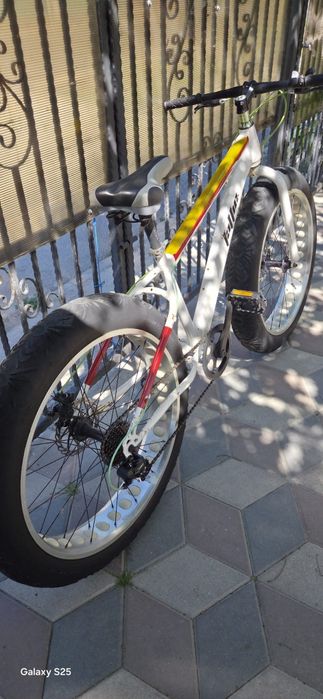Bicicleta Fat Bike