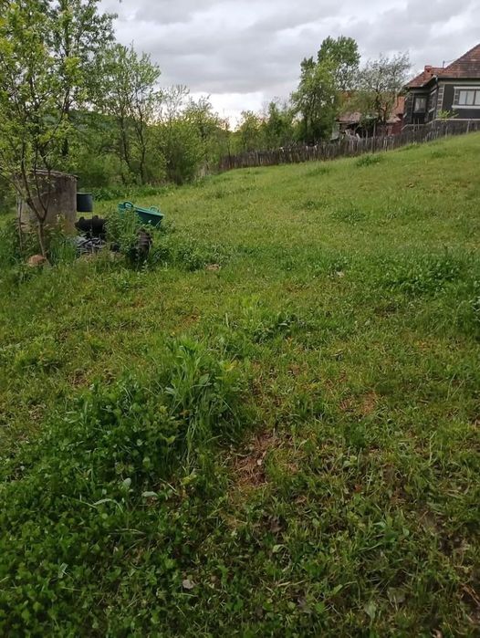 Teren intravilan de vânzare, localitatea Glod județul Alba