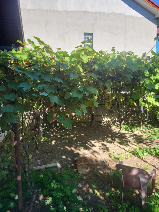 Casa cu teren in Targu-Jiu, la 2 minute cu masina de Parcul Central