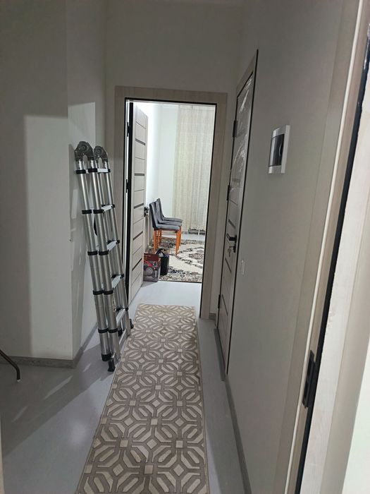 Tőytepa nurafahonda