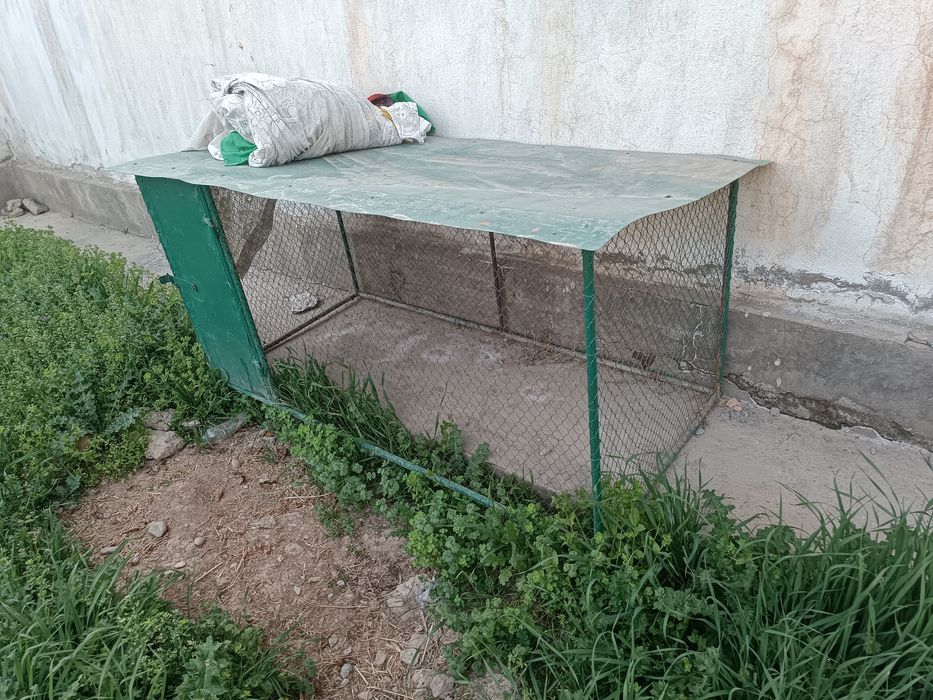 Товук катак сотилади холати янги ишлатилмаган