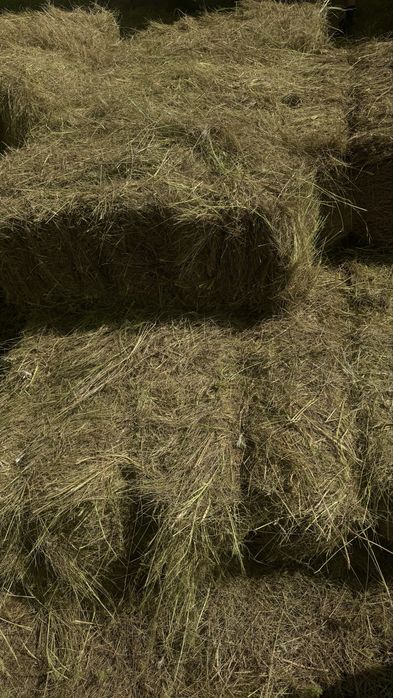 Тюки квадратные 20кг