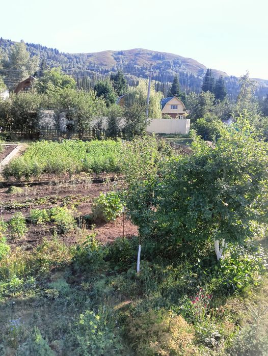 продам дачу дачи умз за тарханкой