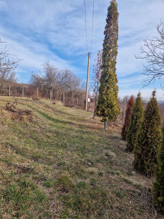 Имот в с.Очуша за вила, къща илиовощна градина