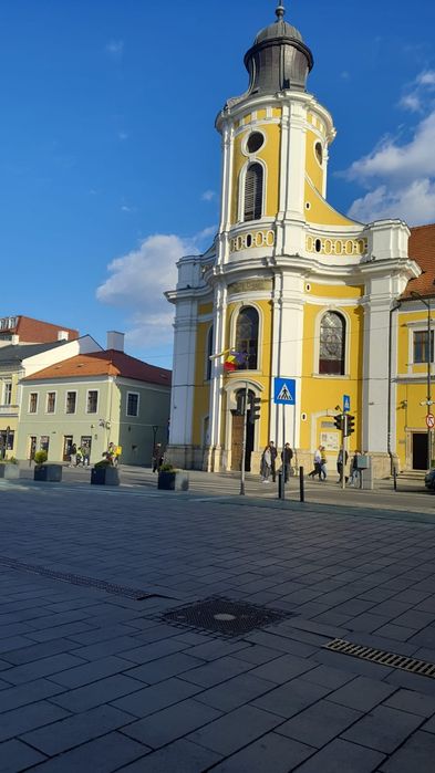 Ghid în Timișoara și tarile invecinate