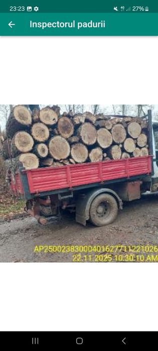 Aduc lemn de foc la comanda