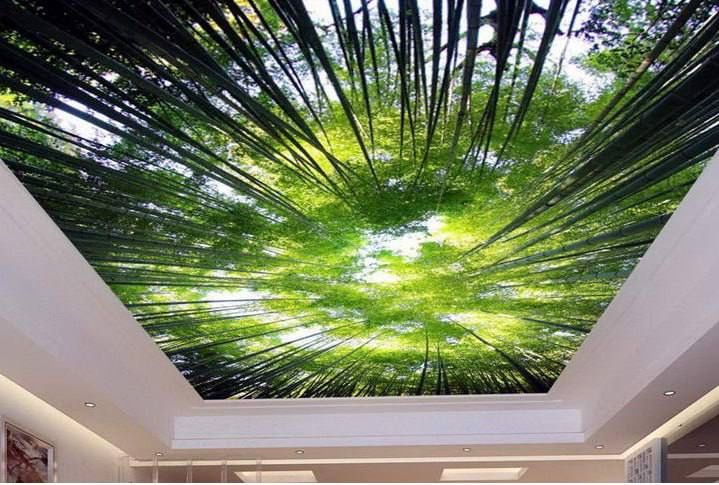 Натяжные потолки. Natijnoy patalok Natyajnoy patolok Natejnoy potolki