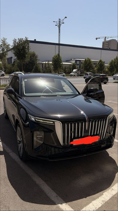 Hongqi ehs-9 электро