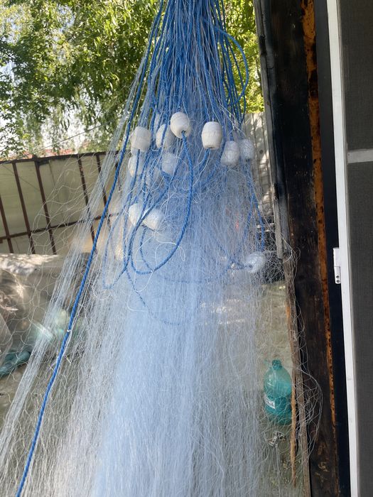 Plase de pescuit de cea mai buna calitate