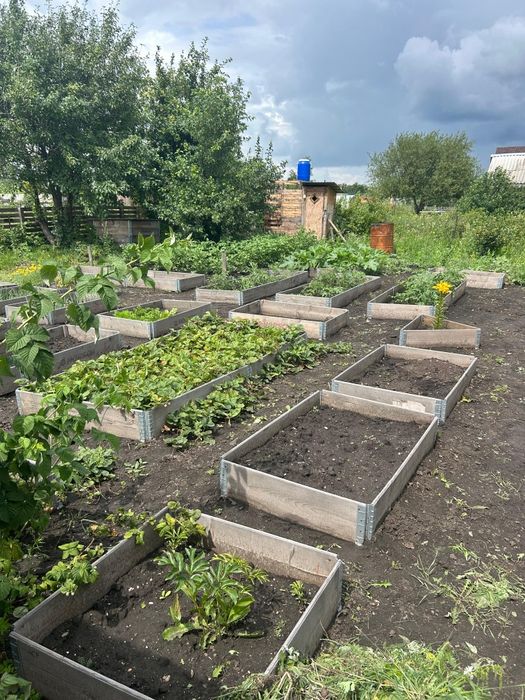 Продам дачу СО Ракета