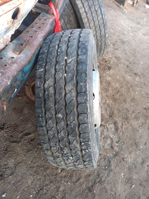 19.5 без камерка диска шина