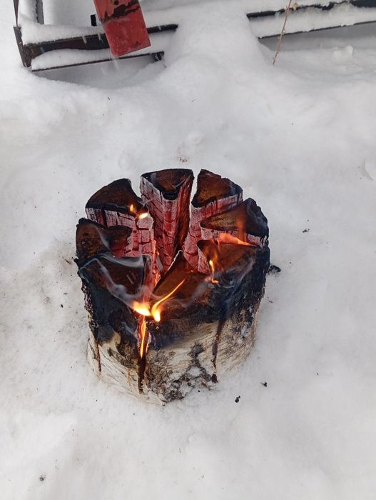 Сухая берёза свеча