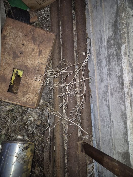 Продам трубы д 50 мм