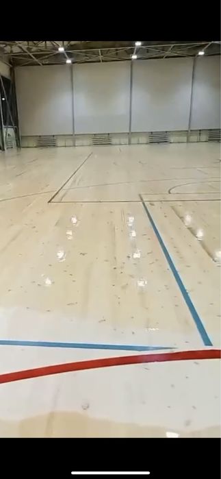 Шлифовка паркета