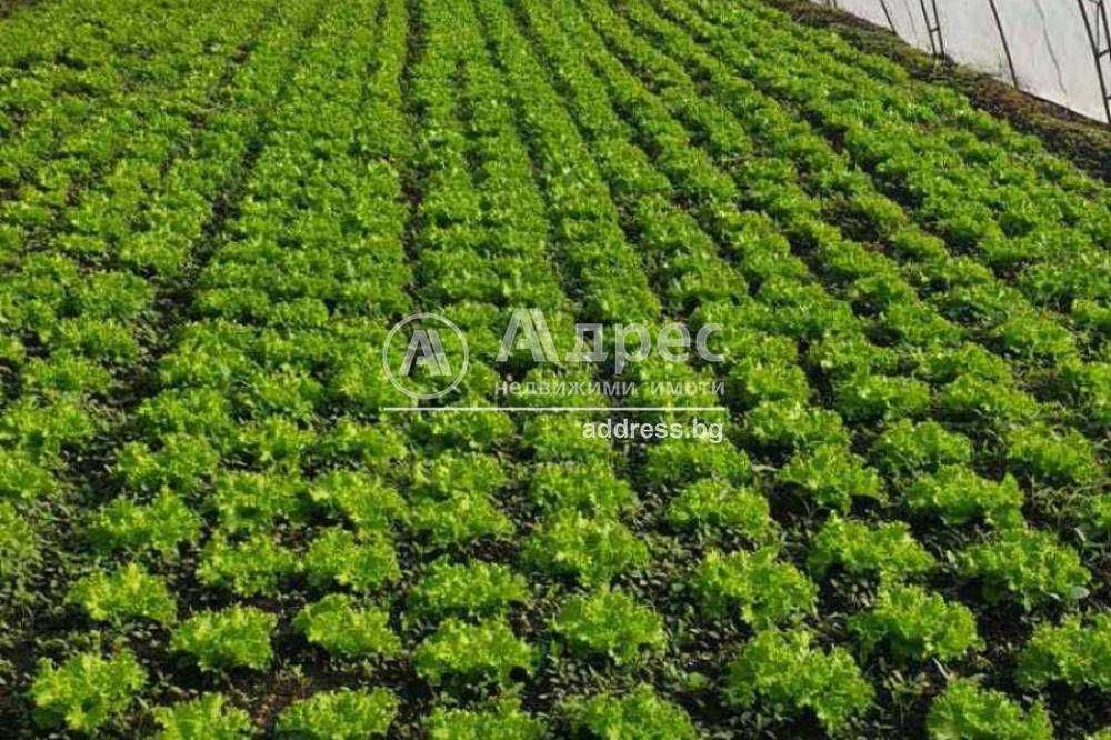 Продава се Земеделски имот в Разград, Център -  кв.м за 24000 €/дка - Снимка #2