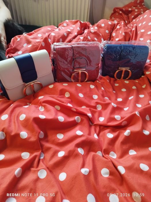 Geantă Christian Dior Paris