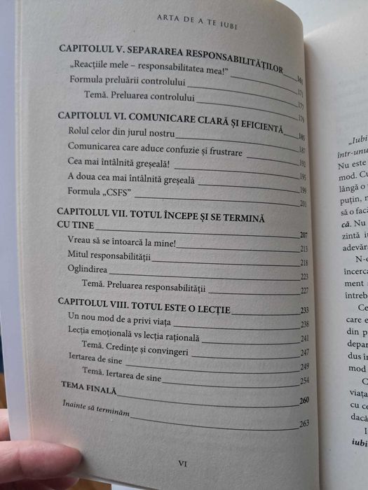 Arta de a te iubi - Cristian Stan