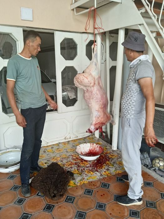 Qassob xizmatimiz Toshkent shahri bõylab