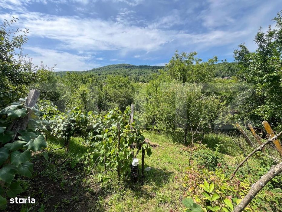 Teren intravilan 11,68 ari – priveliste superba spre vale, aproape d